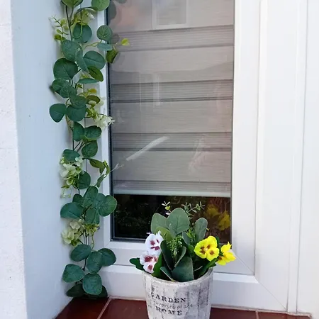 Darłówko 300m Kładkowe 1 * Darłowo