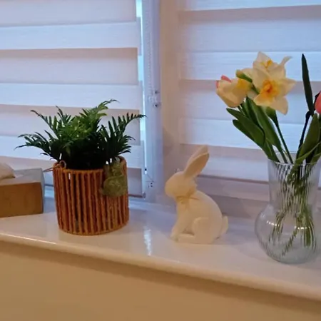 Darłówko 300m Kładkowe 1 Apartament