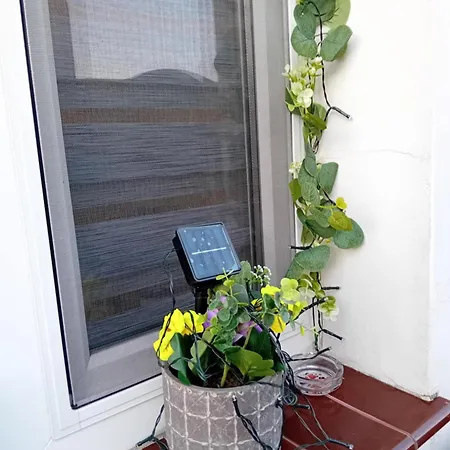 Apartament Darłówko 300m Kładkowe 1