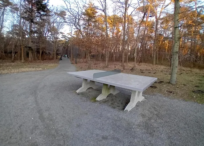 Darlowko 300m Plaza Kladkowe 1 *